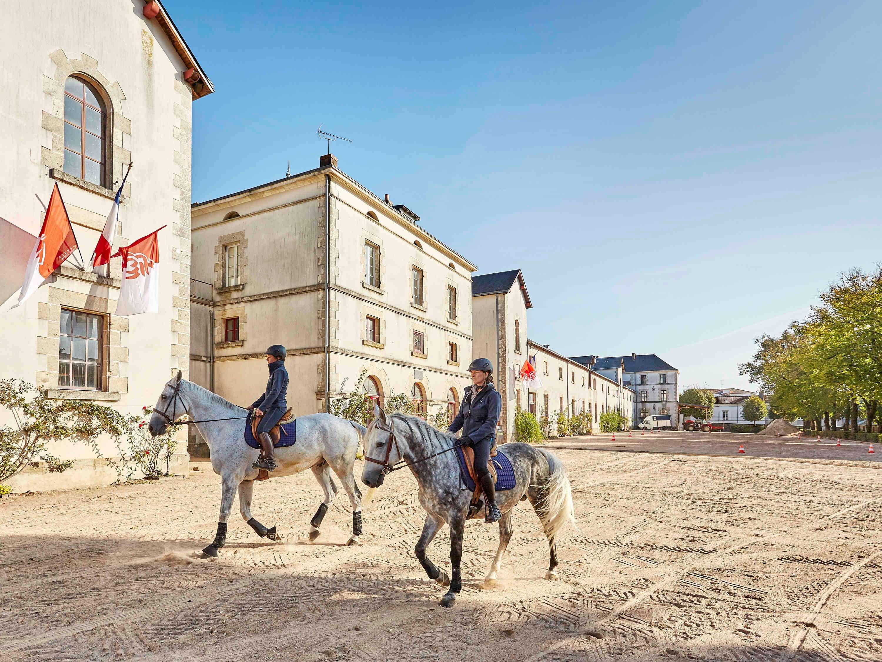 Mercure La Roche Sur Yon La Roche-sur-Yon Exterior foto